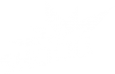 Big Shock